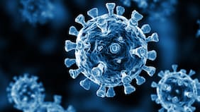 OMS alerta por nueva variante de Covid con mayor propagación de contagio: Esto es lo que se sabe del virus