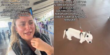 Le dijeron que debía abandonar a su perro en el aeropuerto: mujer denunció dura situación con Sky Airline