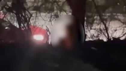 La grabaron sin su consentimiento: difusión de video sexual desata escándalo en club de rugbistas argentinos