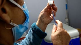 La “supergripe” ya está en Chile: Minsal confirma detección de temida variante de la influenza H3N2