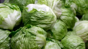 El mejor truco para guardar la lechuga y que no se marchite: te durará hasta 10 días