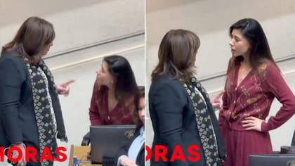 Se pararon de la silla y las tuvieron que frenar: Captan durísimo encontrón entre senadoras Cicardini y Vodanovic en plena sesión