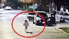 Imágenes fuertes: niña corre tras petición de su madre en medio de violento portonazo que horroriza a Chiguayante