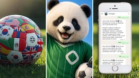 ¿Ya estás en modo Mundial? Este WhatsApp responde en segundos todo lo que un hincha necesita saber
