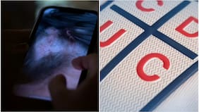 Condenan a la UC a pagar millonaria indemnización a jugador golpeado por sus compañeros durante gira