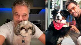 "A mí me ayudan a ser mejor persona...": Paulo Brunetti estrena espacio Más Mascotas en Instagram y Alvaro Gómez junto a "Kira" son sus primeros invitados