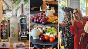 Pisco, piratas y queso de cabra: Exposición reune los encantos de la Región de Coquimbo en el MUT