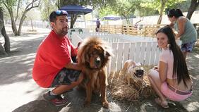Hasta con velo se casó la perrita de la "Leona"