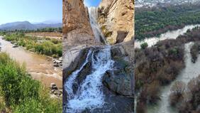 Estado invierte $690 millones para proteger la biodiversidad, pero el futuro es incierto