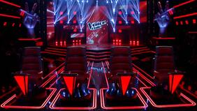 Recordado ganador de Rojo audicionó para The Voice Chile: “Les dejo una foto de mi coach”