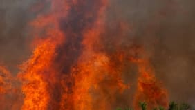 Declaran Alerta Roja en San Nicolás: incendio forestal amenaza a 17 viviendas