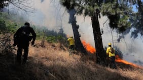 “Sacrificaron sus vidas”: surge hipótesis tras muerte de tres brigadistas que combatían incendio forestal en Los Sauces