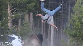 Hombre voló por los aires: brutal ataque de bisonte a adulto mayor en Estados Unidos