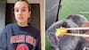 Veterinarios alertan por los riesgos de dar comida humana a mascotas luego de que influencer le diera wasabi a su perro