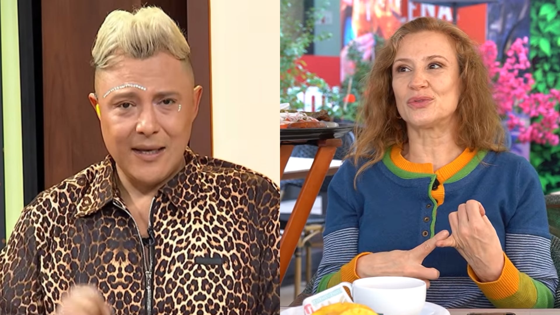 Sergio Rojas se lanzó contra Sigrid Alegría por criticar el regreso de la farándula: “Lo encuentro peligroso”