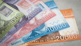 Bono de Protección 2024: ¿Cuáles son los plazos y el método de pago para las dueñas de casa?