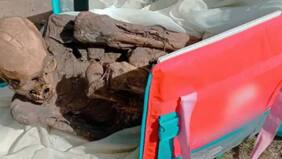 Repartidor de delivery en Perú guardaba una momia en su mochila