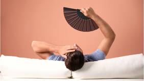 ¿Sufres con el calor? Descubre cómo mantener tu hogar fresco sin aire acondicionado