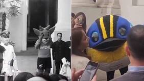 “Nació un villano”: el triste video de Dupu que alimenta teoría tras visita de Fiu a La Moneda