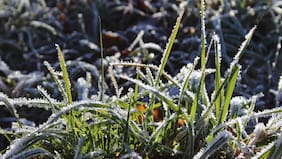 Mínimas de -3°C: alerta de heladas en la Región Metropolitana y otras 6 regiones