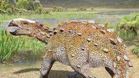 Descubren nuevo dinosaurio chileno: tenía un “arma” secreta alojada en su cola