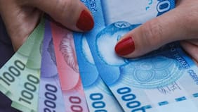 Bolsillo Familiar Electrónico 2024: ¿Cuándo es el pago de la reactivación del bono?