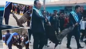 Alcalde peruano será procesado tras show en el que arrastró a un cóndor