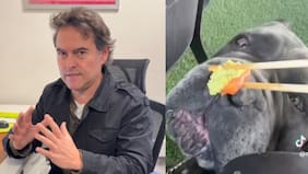 “Muy cuestionable”: Lindorfo reaccionó a polémico video de influencer dándole wasabi a su perro