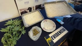 No vendían harina: PDI decomisa 20 mil dosis de cocaína en Laja