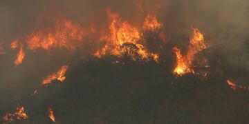 Incendios Forestales