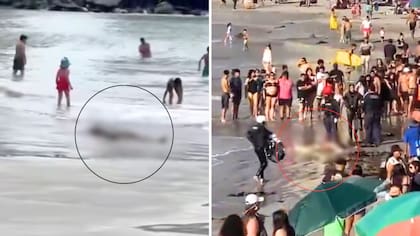 Horror en Iquique: un cadáver apareció en medio de niños y familias que disfrutaban de la playa