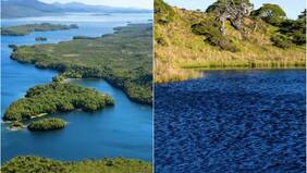 Venden isla virgen chilena en 35 millones de dólares: es 7 veces más grande que Manhattan