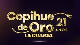 Fin del misterio: conoce a todos los nominados al Copihue de Oro 2026