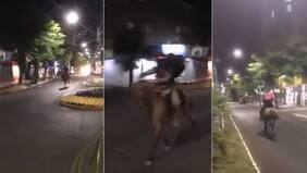 “Ojalá no lleve completos”: el misterioso repartidor a caballo que genera ola de reacciones en redes