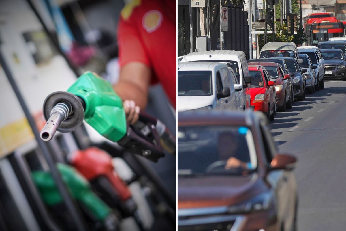 “Se viene la leche con agua...”: Ardió la polémica por supuesta idea de Gobierno de vender bencina con etanol