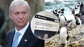 “Amenaza” para “la reputación ecológica de Chile”: Así informó Bloomberg al mundo el retiro de decretos ambientales