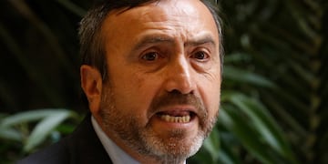 diputado Francisco Pulgar