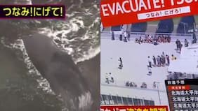 Video: primeras olas de tsunami llegan a Japón y Hawái
