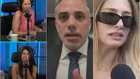 Abogado de Nueva York opinó sobre lucha de Mane Swett por su hijo: se llevó el rechazo de Lady Ganga y Eskarcita