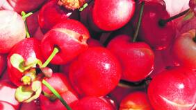 Lluvia y granizos le aguaron la producción a agricultores