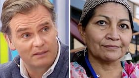 “Yo me equivoqué”: el mea culpa de Amaro Gómez-Pablos tras dichos de Elisa Loncon