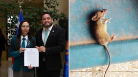 Diputados impulsan proyecto para exigir planes de higiene y salubridad en colegios y jardines infantiles