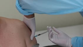 Desde el lunes parte la vacunación a los tatas