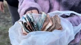 Familia de curicó enterró tres millones pero el sistema frontal destruyó los billetes