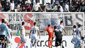 Nuevo condoro de Cortés hizo aparecer el fantasma de Orión