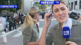 Video: periodista es baleada por la policía durante protesta contra Trump y sus políticas migratorias