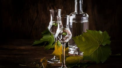 Para seguir celebrando a la patria: pisco chileno gana competencia en New York