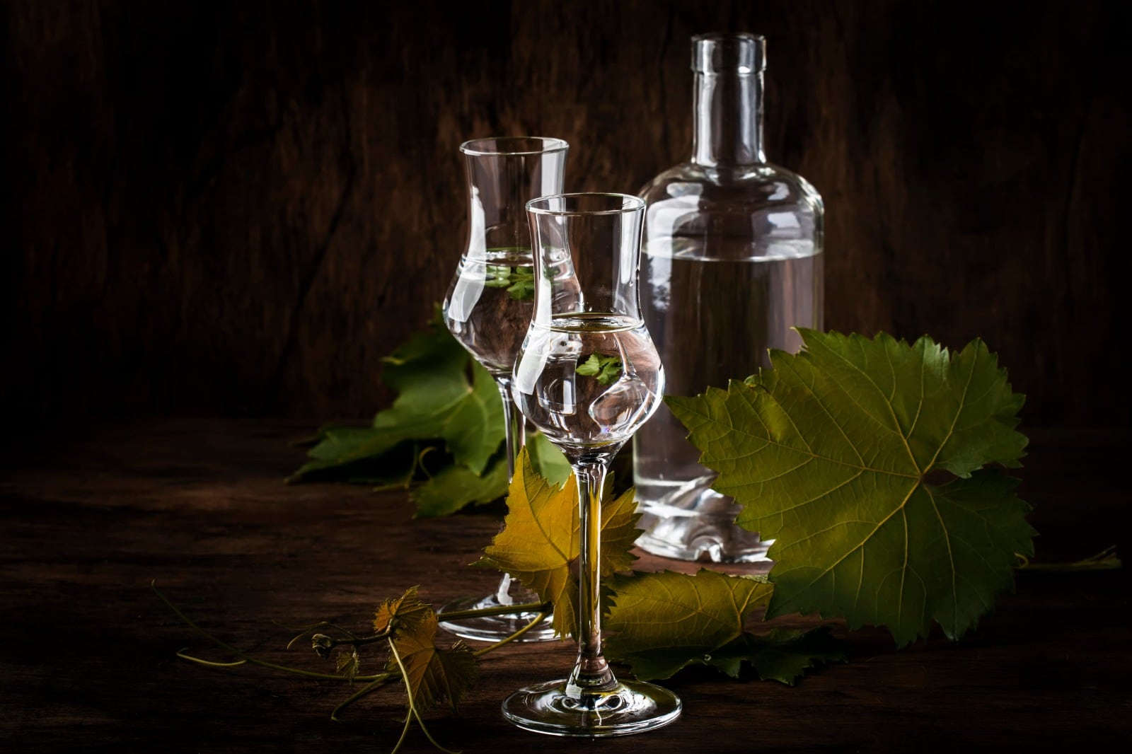 Para seguir celebrando a la patria: pisco chileno gana competencia en New York