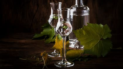 El llamado “mejor pisco del 2025″ será más fácil de encontrar: cuadruplicó su producción