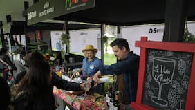 Los Tres, María José Quintanilla y Los Jaivas celebran la Vendimia del Valle del Maipo: cuándo y dónde es